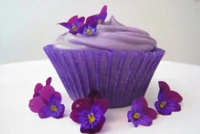 Pretty Cupcake and Violets