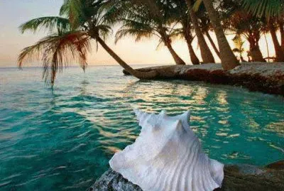 פאזל של ImÃ¡genes