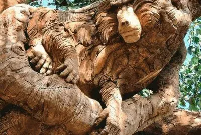 ImÃ¡genes jigsaw puzzle