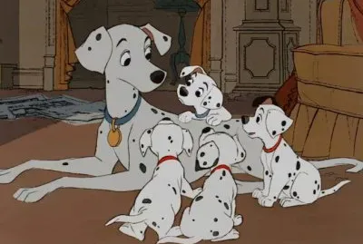 ImÃ¡genes jigsaw puzzle