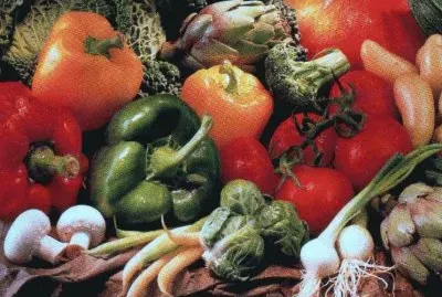 Verdures jigsaw puzzle