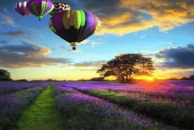 פאזל של paisagem