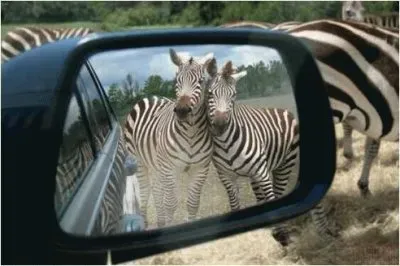 things jigsaw puzzle