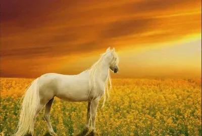 things jigsaw puzzle