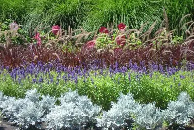 flores jigsaw puzzle