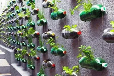 hanging gardens