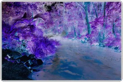 Purple Landscape-Abstract Art