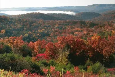 autumn