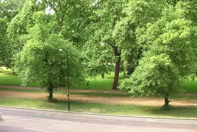 hyde park
