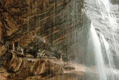 monkeys and waterfall jigsaw puzzle