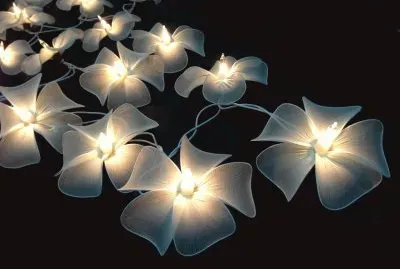 flower lights
