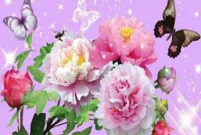 Fantasia jigsaw puzzle