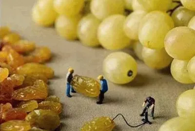 while we are sleeping