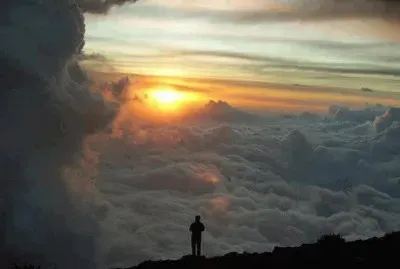ultimate vista