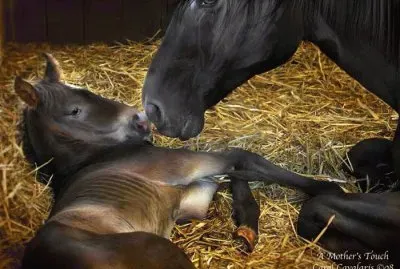 things jigsaw puzzle