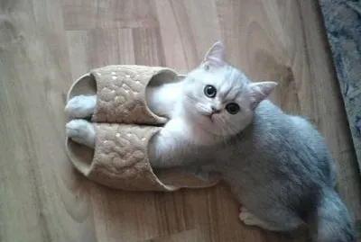 things jigsaw puzzle