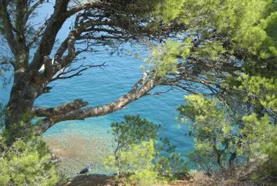 Natura jigsaw puzzle