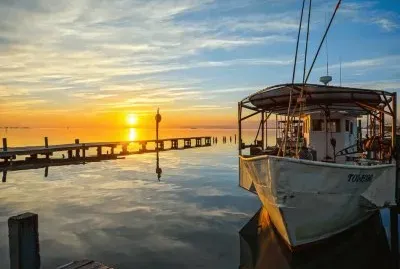 safe harbor