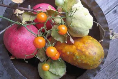 end of summer veggies