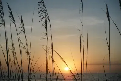 sunset on the gulf