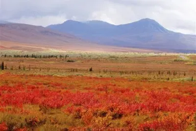 august on the high plains