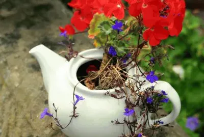 teapot flowers