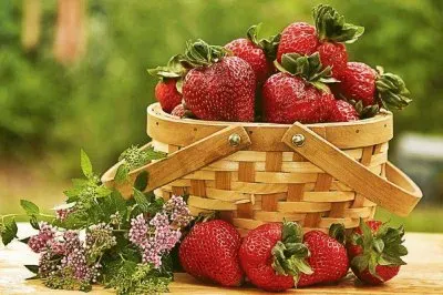 canasta jigsaw puzzle