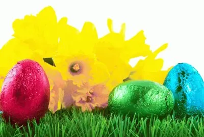 vut75e jigsaw puzzle