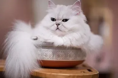 things jigsaw puzzle