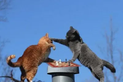 things jigsaw puzzle