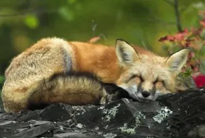 things jigsaw puzzle