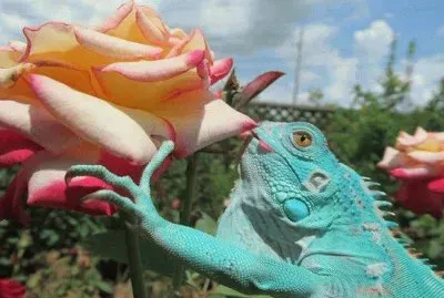 things jigsaw puzzle