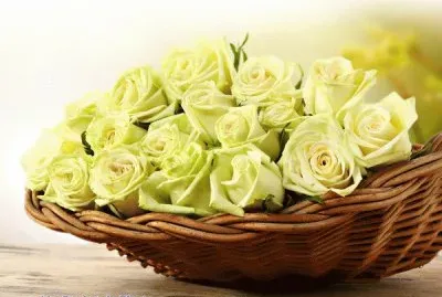 flores amarillo