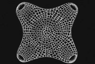 diatom