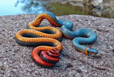 things jigsaw puzzle