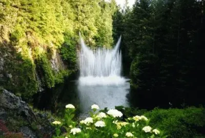paisaje cascada