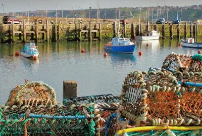 Scarborough nets and boats