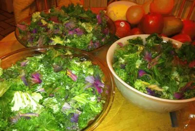 kale options