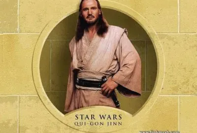 QUI GON jigsaw puzzle