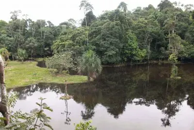 Amazonia Ecuatoriana