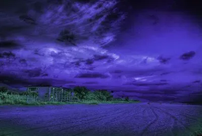 Storm Clouded Purple Field
