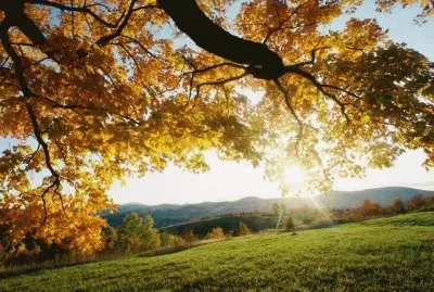naturaleza