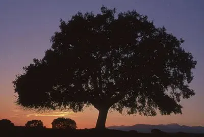 sierra de Ayllon , Guadalajara , EspaÃ±a jigsaw puzzle