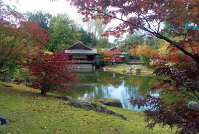 maravilloso vivir allÃ­