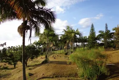 פאזל של paisaje de los Andes