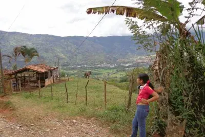 פאזל של paisaje andino