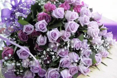 ramo pÃºrpura jigsaw puzzle