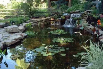 fish pond Philadelphia