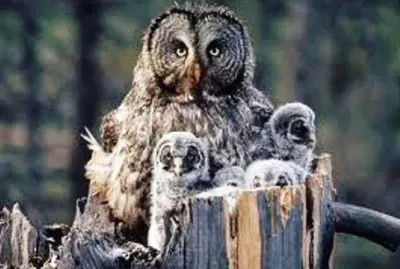 mom#102