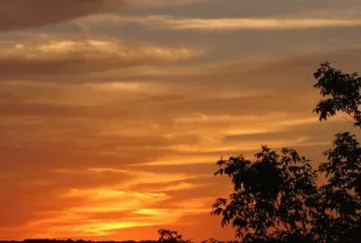 Golden sunset